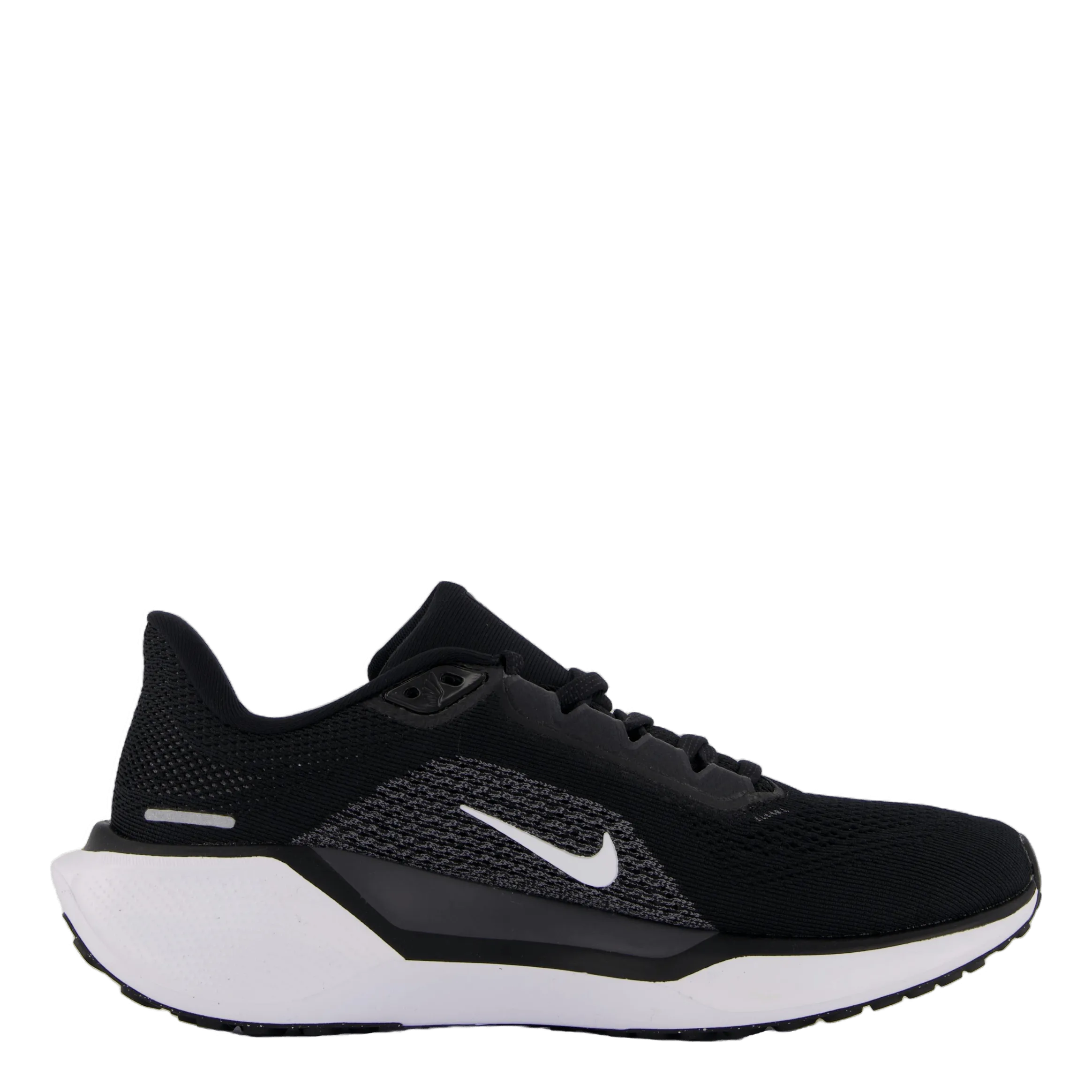 Nike Nike Pegasus 41 Women