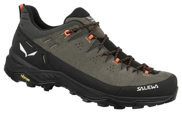 Salewa Zapatillas de montaña Salewa Alp Trainer 2 Marrón